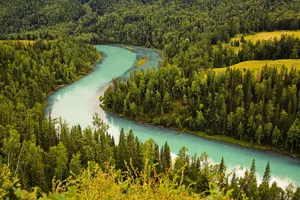 新疆喀纳斯月亮湾自然风景图片第张