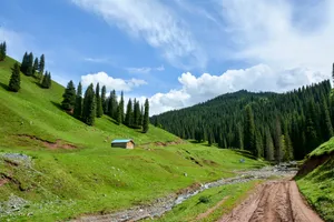 雨后的科克尔斯陶牧区图片第张