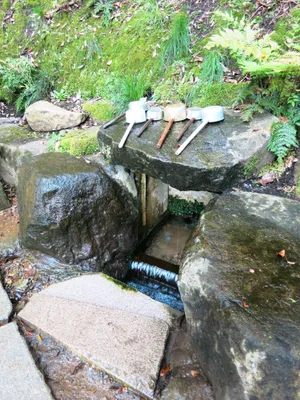 日本鹿岛神宫洗手池塘图片第张