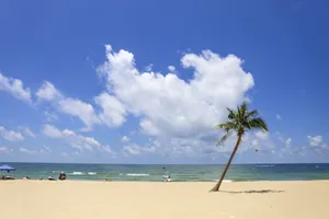 广州南沙大角山海滨公园自然风景图片第张