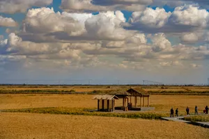 辽宁盘锦红海滩自然风景图片第张