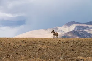 西藏唯美自然风景图片第张