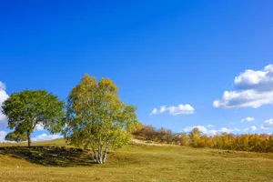 内蒙古蛤蟆坝自然风景图片第张