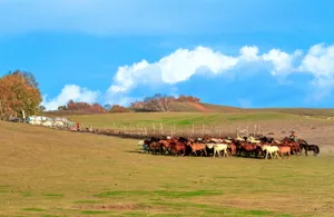 让人震撼的内蒙古乌兰布统唯美秋季自然风景图片第张