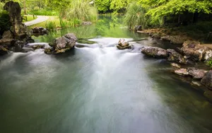 杭州西湖九溪十八涧自然风景图片第张