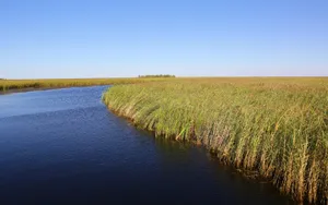 内蒙古呼伦贝尔湖自然风景图片第张