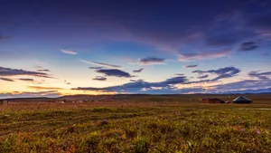 新疆伊犁喀拉峻大草原自然风景图片第张