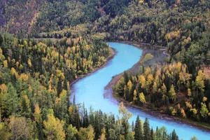 新疆喀纳斯迷人的秋季自然风景图片第张