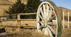 卡拉法特秋天自然风景图片第张