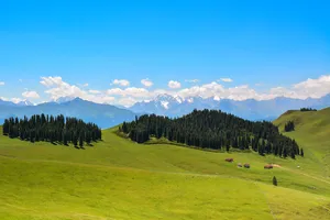 新疆索尔巴斯陶自然风景图片第张