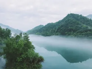 广东小东江风景图片第张