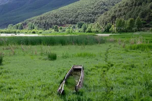 泸沽湖草海风景图片第张