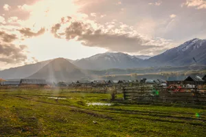 新疆禾木白桦林风景图片第张