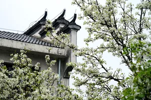 江西婺源优美风景图片第张