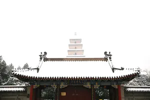 陕西西安雪景图片第张