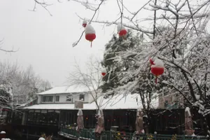 浙江杭州西溪湿地风景图片第张