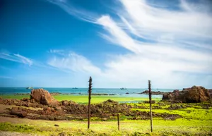 新疆赛里木湖风景图片第张
