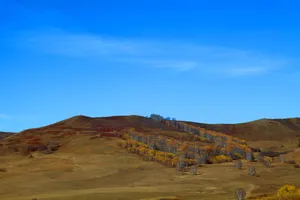 河北坝上秋景图片第张