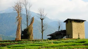 云南腾冲田园风景图片第张