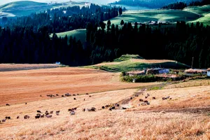 新疆江布拉克风景图片第张
