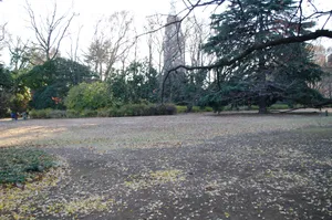 日本新宿御苑的图片第张