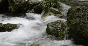 四川黄龙飞瀑风景图片第张