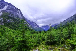 四川四姑娘山风景图片第张