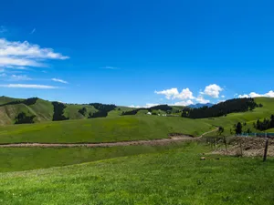 新疆索尔巴斯陶风景图片第张