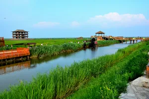 辽宁盘锦红海滩风景图片第张