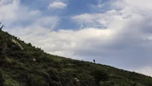 山西宁武芦芽山风景图片第张