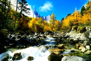 四川毕棚沟风景图片第张