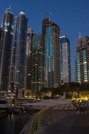 骆驼与城市景观图片第张