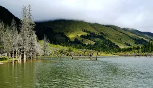 四川四姑娘山撵鱼坝风景图片第张