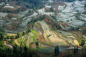 云南元阳梯田风景图片第张