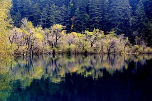 四川九寨沟秋日风景图片第张