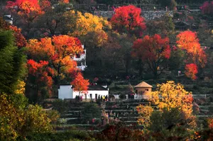 安徽塔川风景图片第张