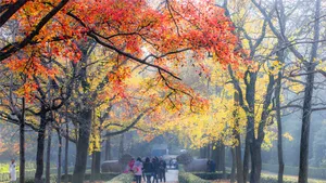 江苏南京明孝陵秋景图片第张