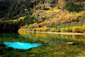 醉美的九寨沟风景图片第张