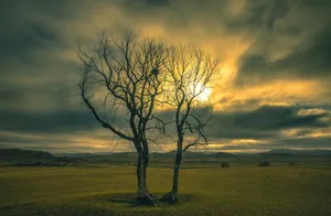 金秋乌兰布统风景图片第张