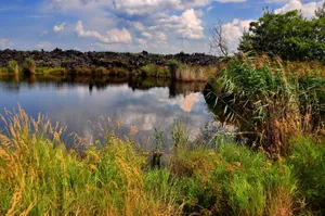 黑龙江五大连池之火山堰塞湖图片第张
