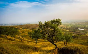 浙江杭州径山金秋风景图片第张