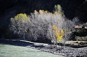 醉美川西秋色风景图片第张