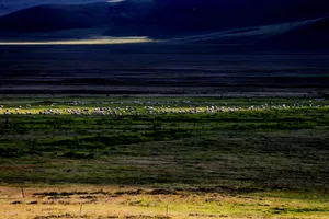 四川阿坝的晨光风景图片第张
