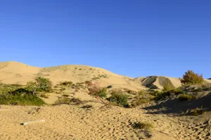 新疆白沙湖风景图片第张