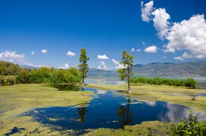 大理海舌生态公园风景图片第张