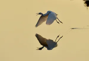 河北秦皇岛北戴河湿地风景桌面壁纸第张