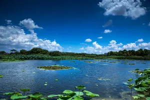 山东胶州湿地公园风景图片第张