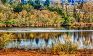 加拿大温哥华鹿湖公园风景图片第张