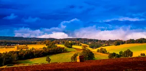 澳大利亚墨尔本郊外农场风景图片第张