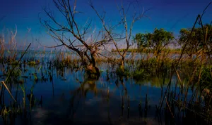云南昆明捞鱼河湿地公园风景图片第张